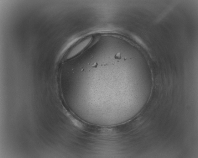 X0000067531456200604211831