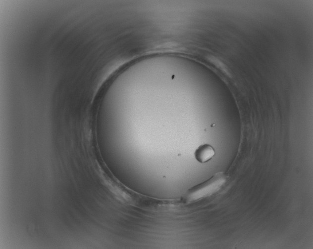 X0000067531458200604211831