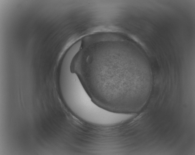 X0000067531459200604211831