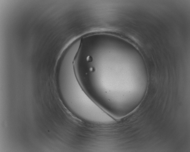 X0000067531460200604211831