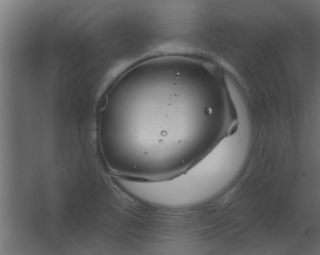 X0000067531461200604211831