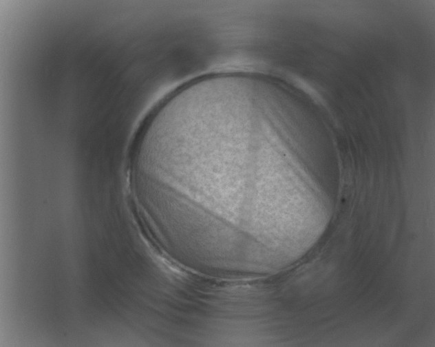 X0000067531462200604211831