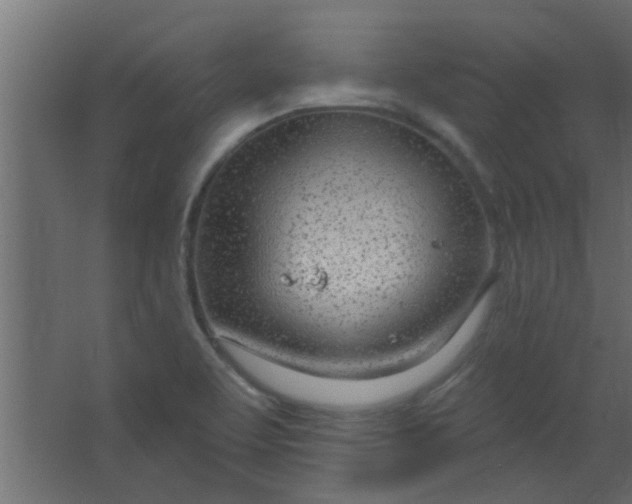 X0000067531463200604211831