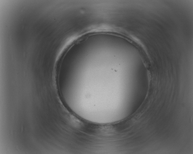 X0000067531464200604211831