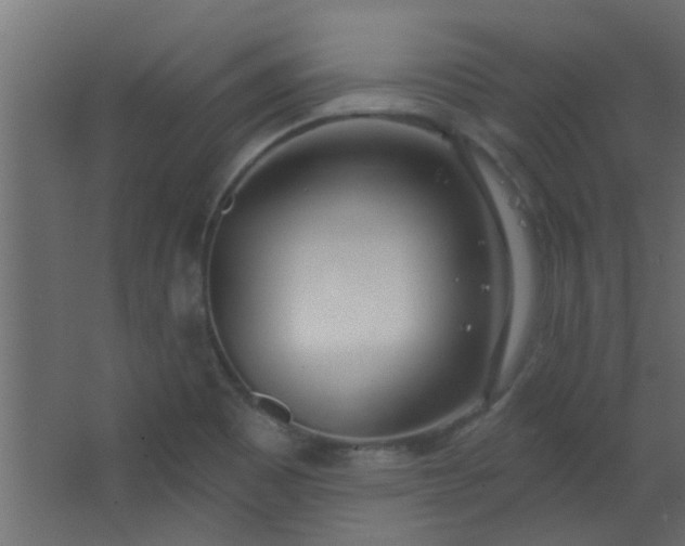 X0000067531465200604211831