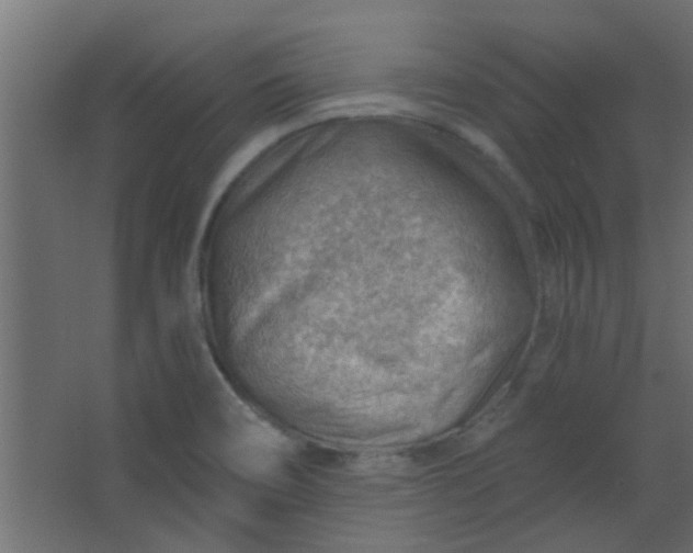 X0000067531466200604211831