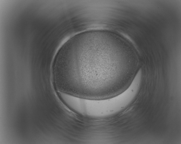 X0000067531467200604211831