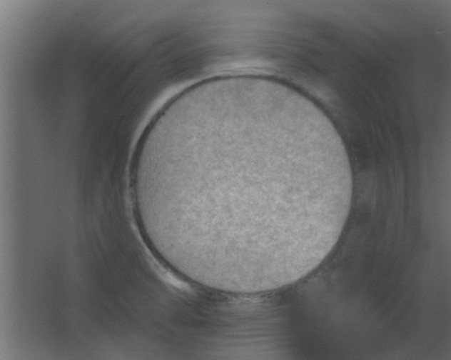 X0000067531470200604211831