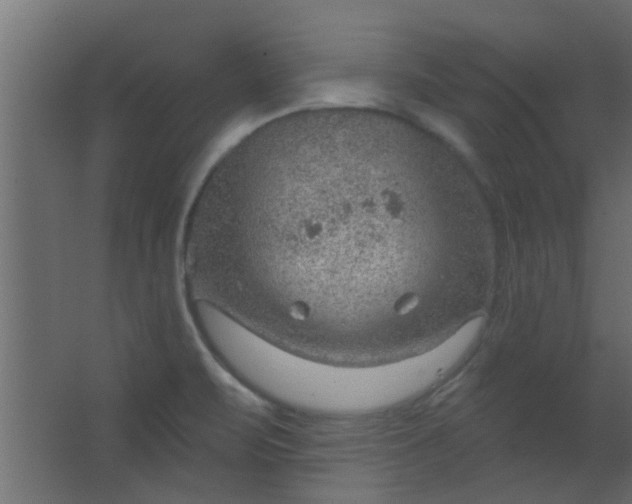 X0000067531471200604211831