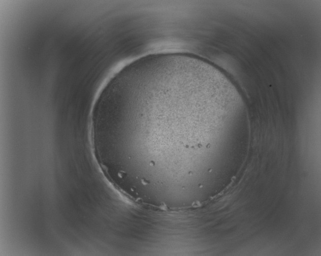 X0000067531472200604211831