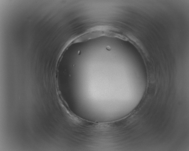 X0000067531473200604211831