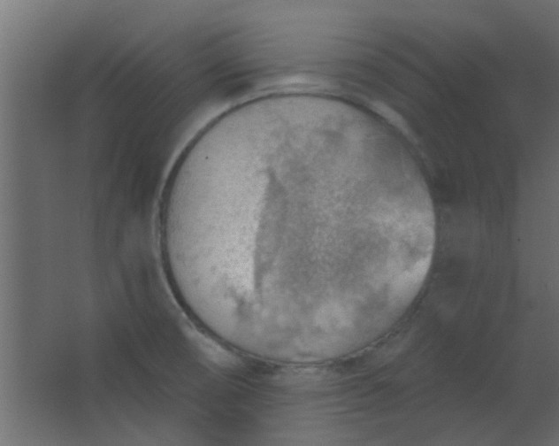 X0000067531474200604211831