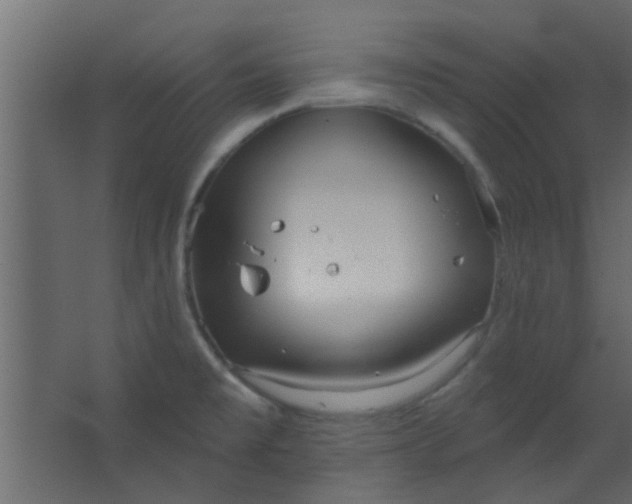 X0000067531477200604211831