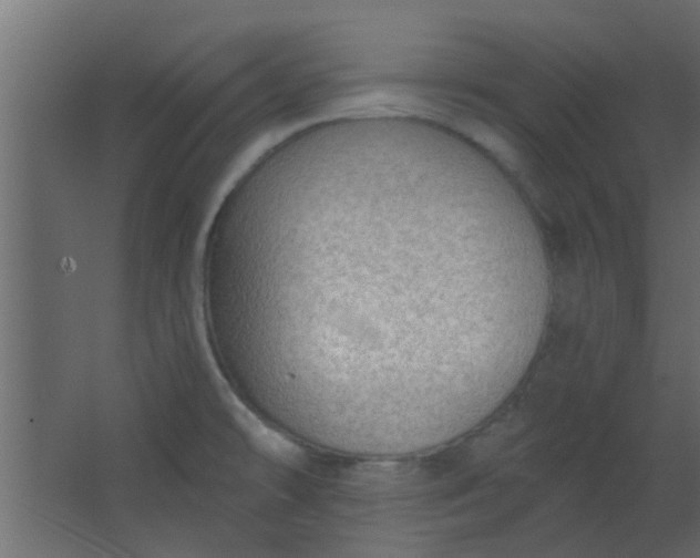 X0000067531478200604211831