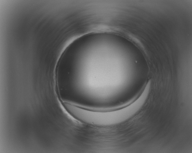 X0000067531479200604211831