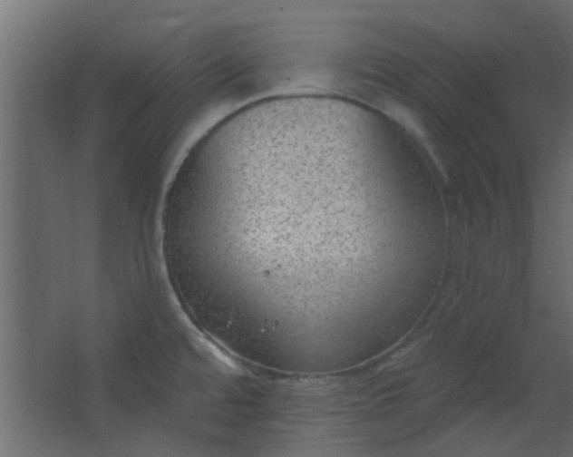 X0000067531480200604211831