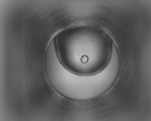 X0000067531481200604211831