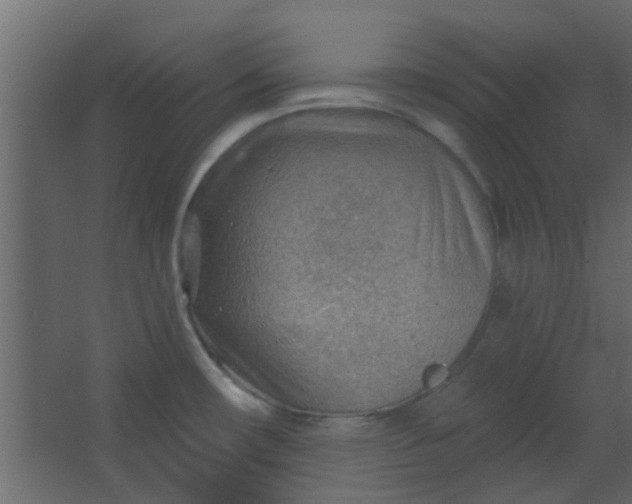 X0000067531482200604211831