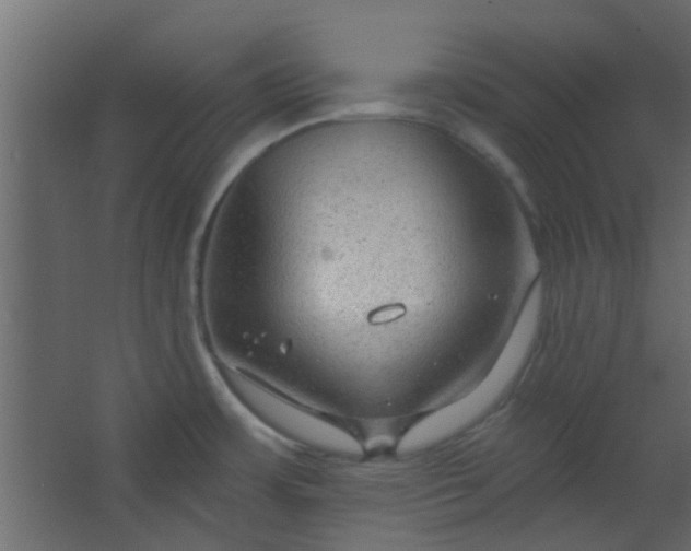 X0000067531483200604211831