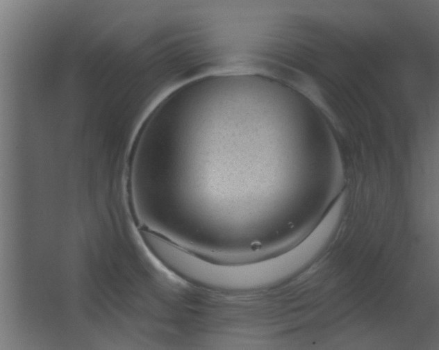 X0000067531484200604211831