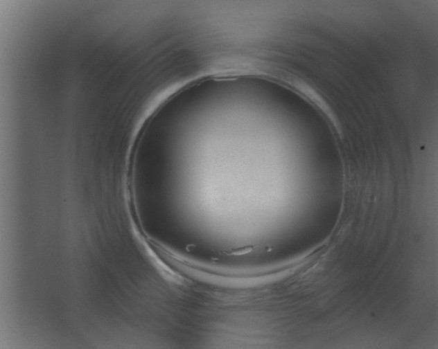 X0000067531485200604211830