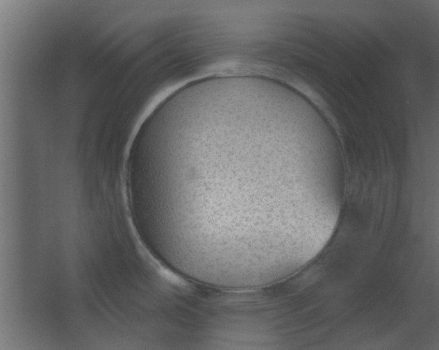 X0000067531486200604211830