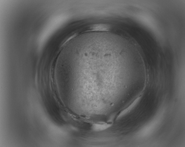 X0000067531487200604211830