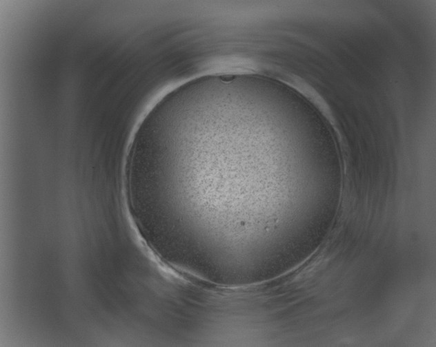 X0000067531488200604211830