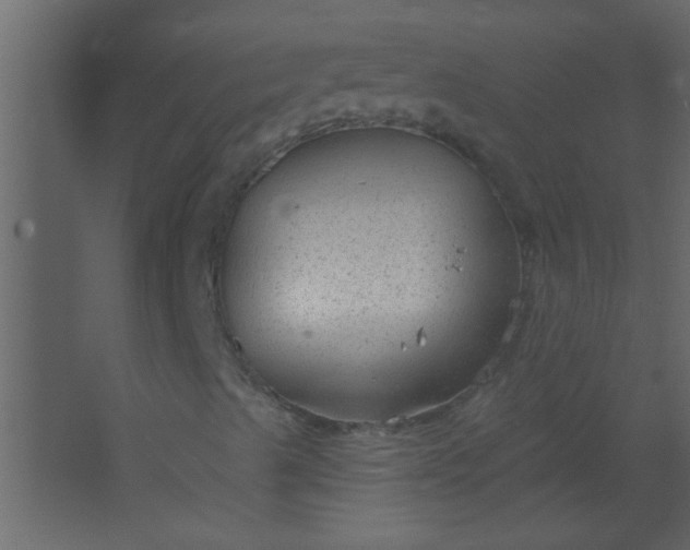 X0000067531489200604211830