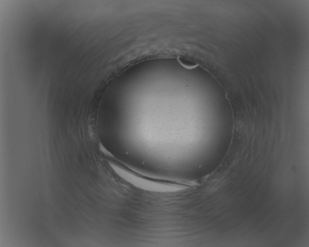 X0000067531490200604211830