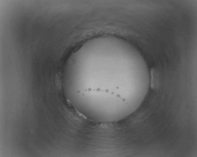 X0000067531491200604211830