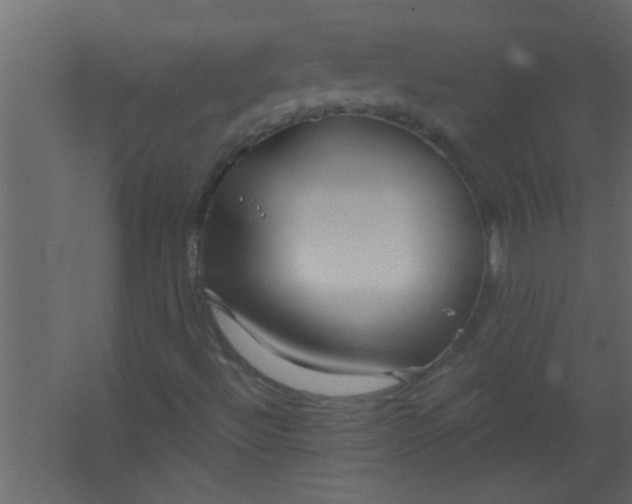 X0000067531492200604211830