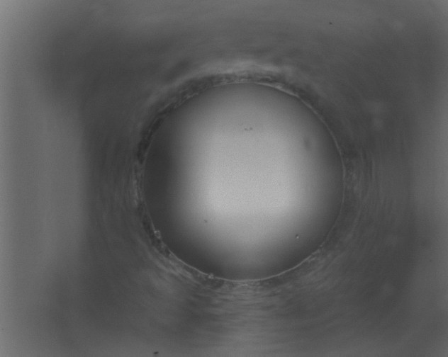 X0000067531493200604211830