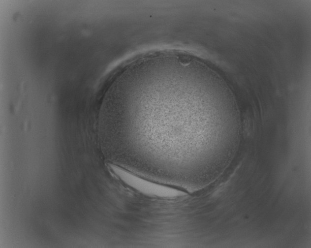 X0000067531494200604211830