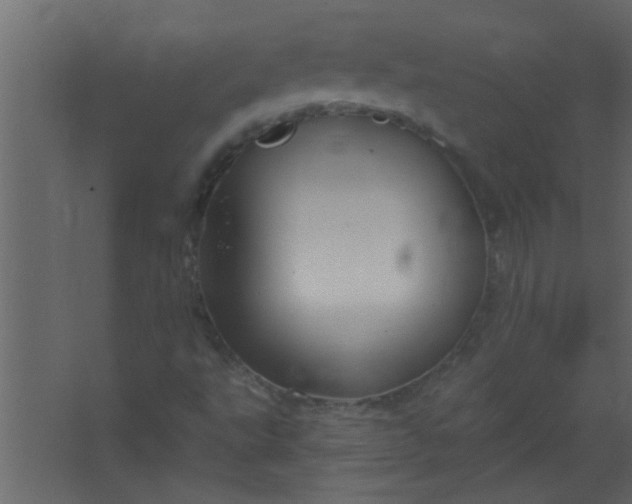 X0000067531495200604211830