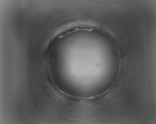 X0000067531496200604211830