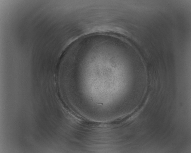 X0000067531497200604211830