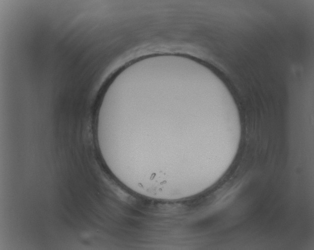 X0000067531498200604211830