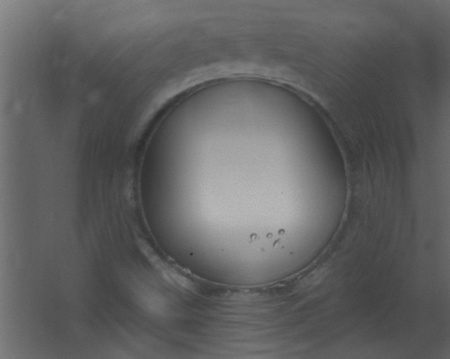 X0000067531499200604211830