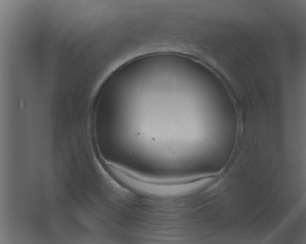 X0000067531500200604211830