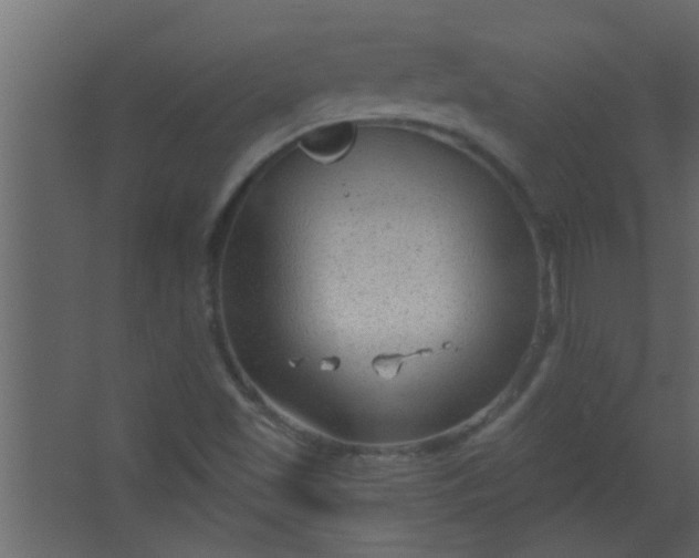 X0000067531501200604211830