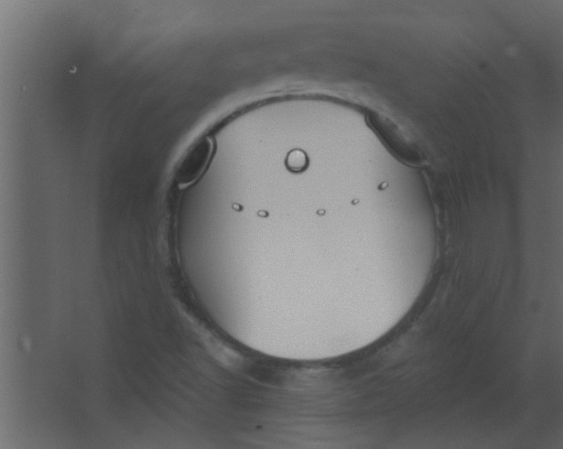 X0000067531502200604211830