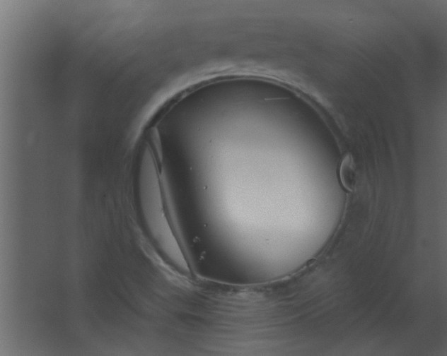 X0000067531503200604211830