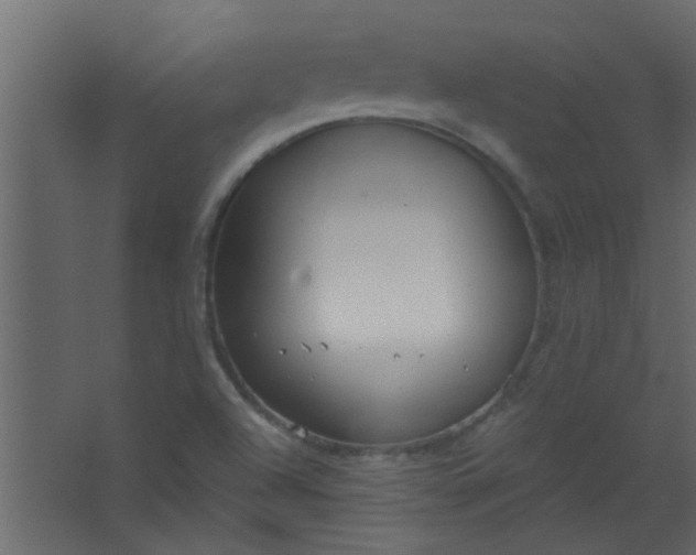 X0000067531504200604211830