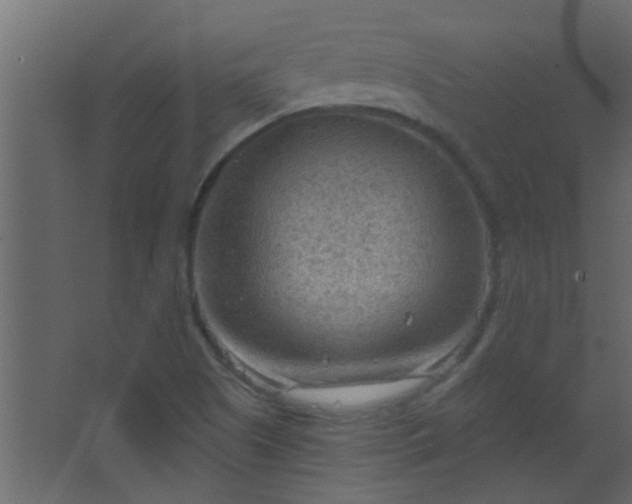 X0000067531505200604211830