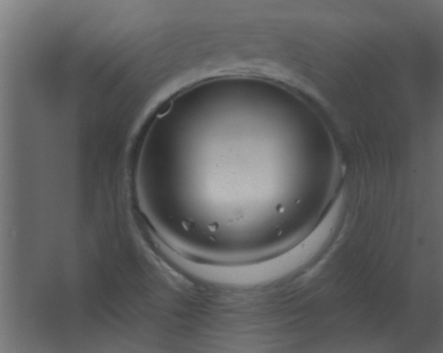 X0000067531506200604211830