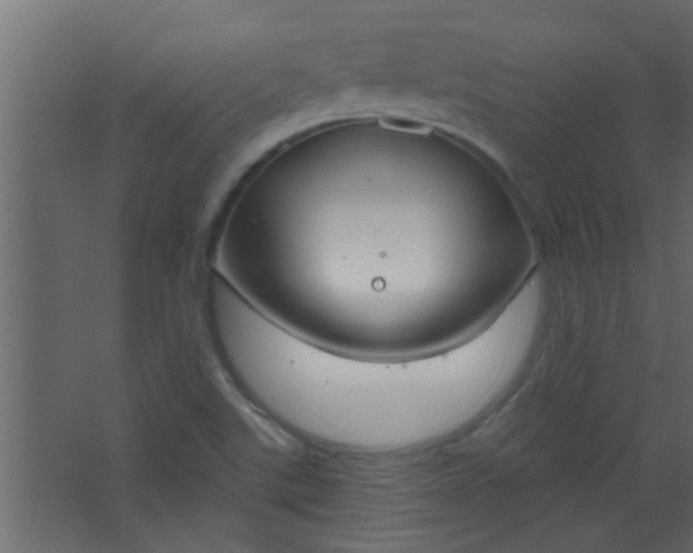 X0000067531507200604211830