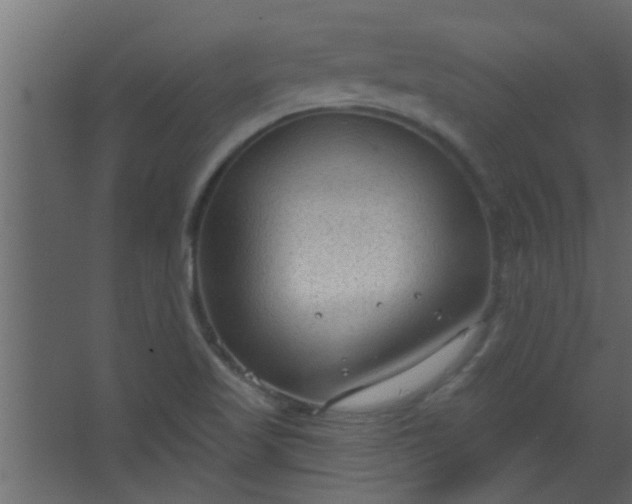 X0000067531509200604211830