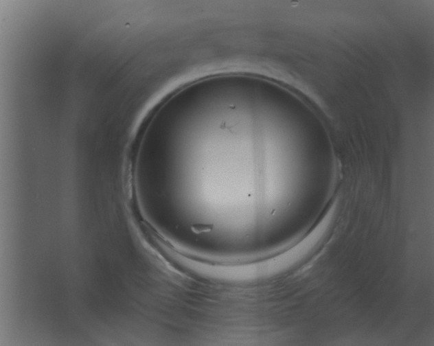 X0000067531510200604211830