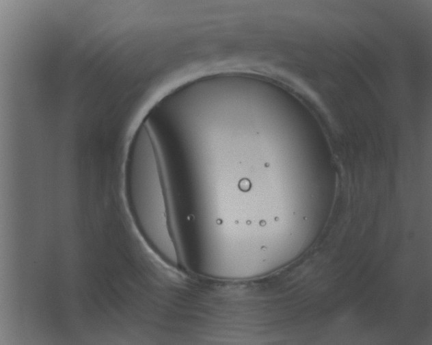 X0000067531512200604211830